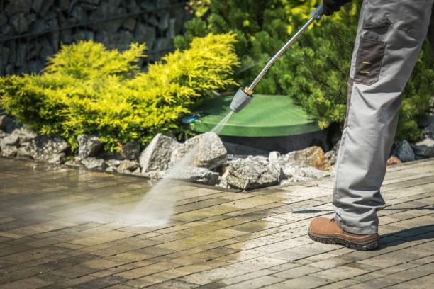 Animal Enclosure Cleaning in Haviland, NY