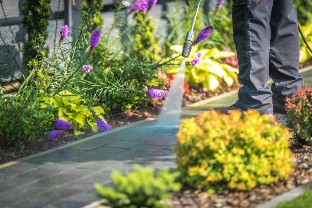 Best Animal Enclosure Cleaning  in Haviland, NY